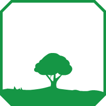 Tipologia Pianta: ALBERO PICCOLO